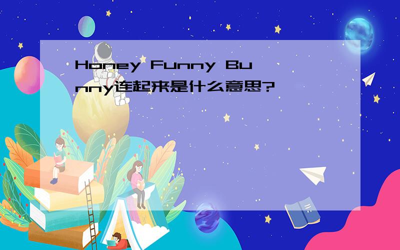 Honey Funny Bunny连起来是什么意思?