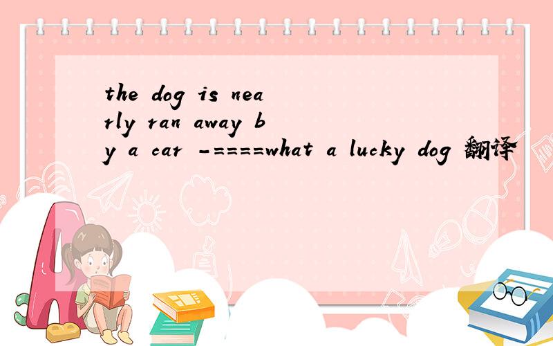 the dog is nearly ran away by a car -====what a lucky dog 翻译