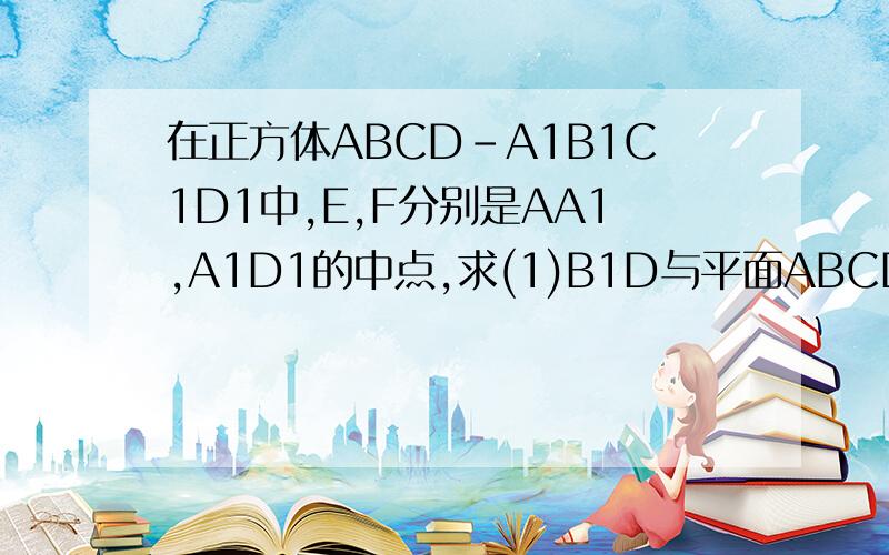 在正方体ABCD-A1B1C1D1中,E,F分别是AA1,A1D1的中点,求(1)B1D与平面ABCD所成的余弦值（2）E,F与面A1B1C1D1所成角的大小