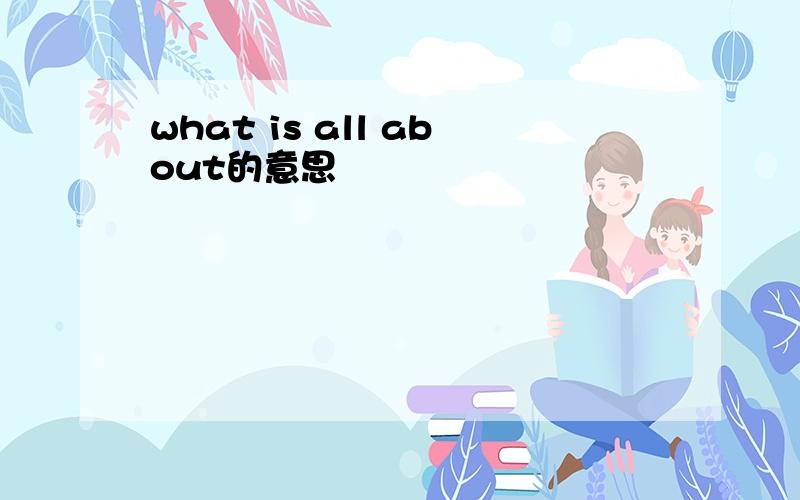 what is all about的意思