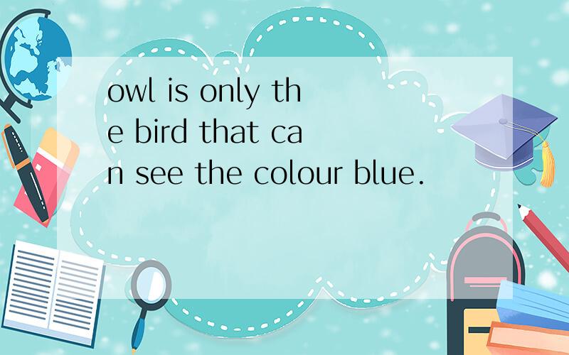 owl is only the bird that can see the colour blue.