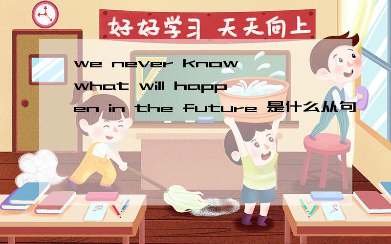 we never know what will happen in the future 是什么从句