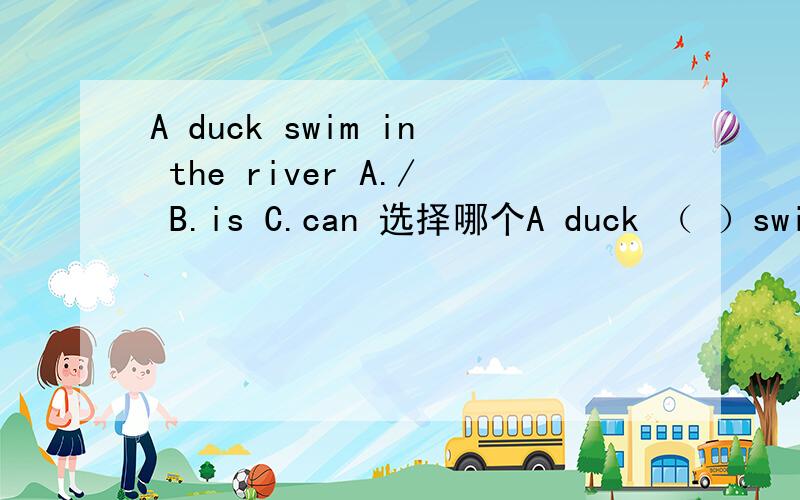 A duck swim in the river A./ B.is C.can 选择哪个A duck （ ）swim in the river