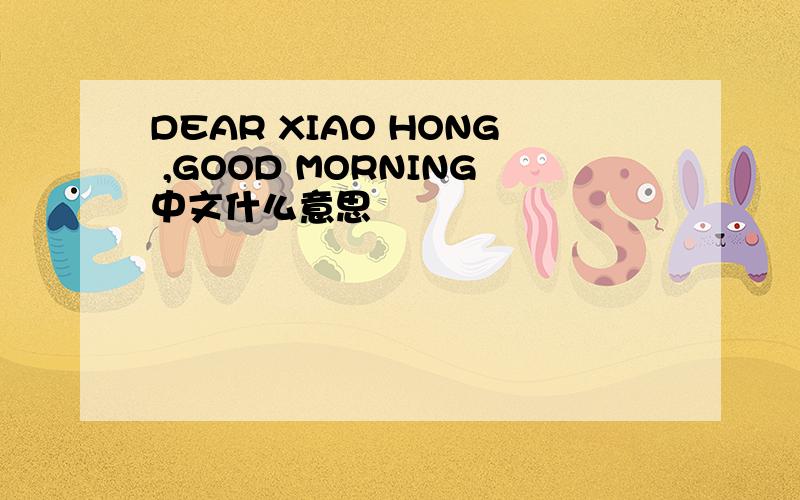 DEAR XIAO HONG ,GOOD MORNING中文什么意思