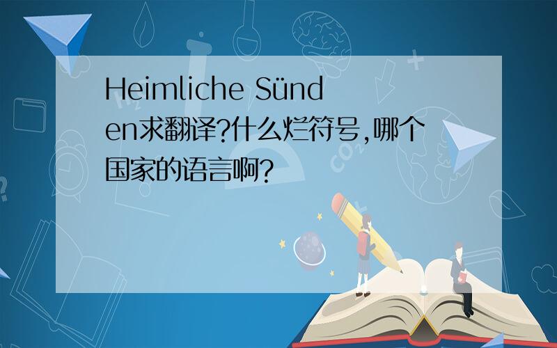 Heimliche Sünden求翻译?什么烂符号,哪个国家的语言啊?