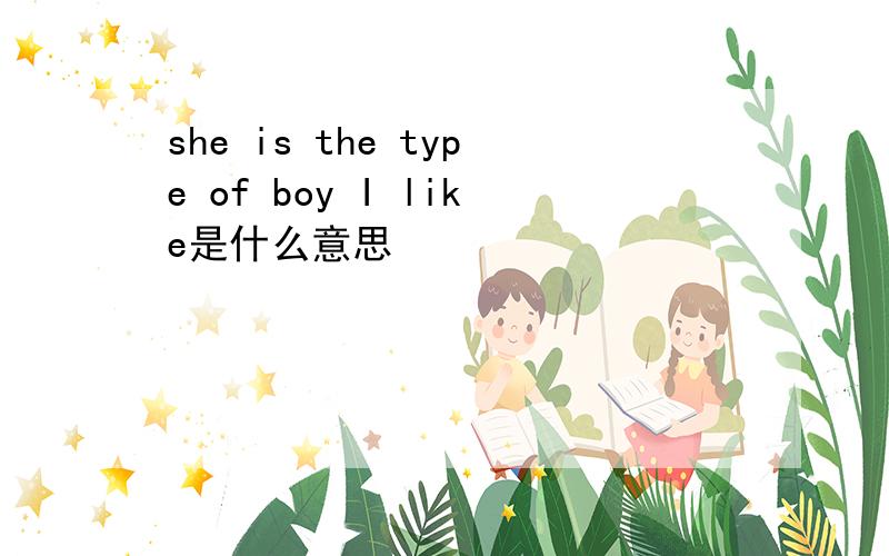 she is the type of boy I like是什么意思