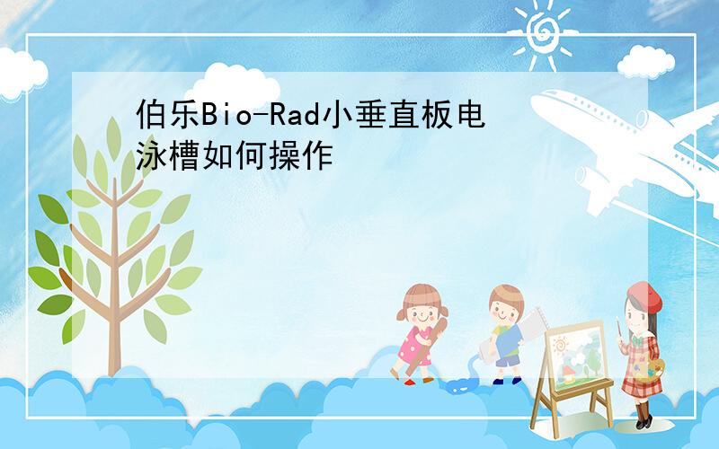 伯乐Bio-Rad小垂直板电泳槽如何操作