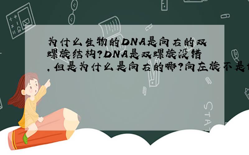 为什么生物的DNA是向右的双螺旋结构?DNA是双螺旋没错,但是为什么是向右的哪?向左旋不是也可以么?是不是和地磁场有关?还是生物进化的一种巧合啊?感激不尽~