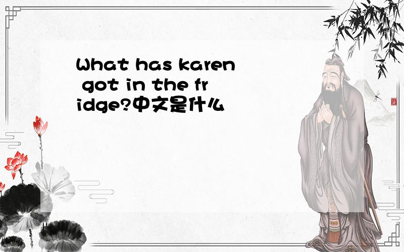 What has karen got in the fridge?中文是什么