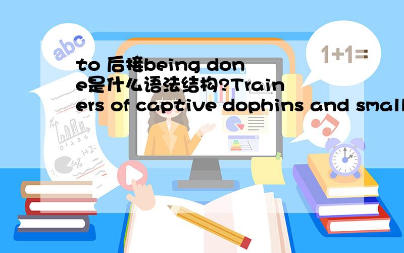 to 后接being done是什么语法结构?Trainers of captive dophins and small whales often remark on their animals' responsiveness to bing touched or rubbed,and both…里面的to bing touched or rubbed 是什么语法结构亚?