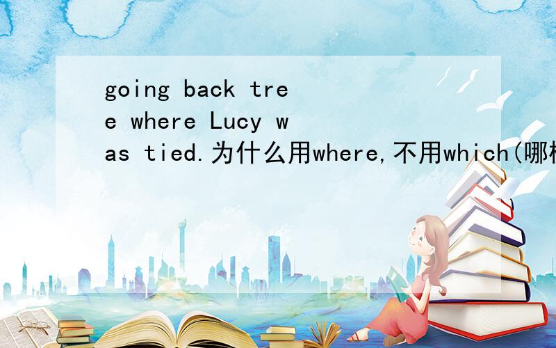 going back tree where Lucy was tied.为什么用where,不用which(哪棵树)