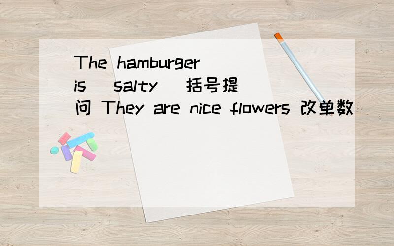 The hamburger is (salty) 括号提问 They are nice flowers 改单数