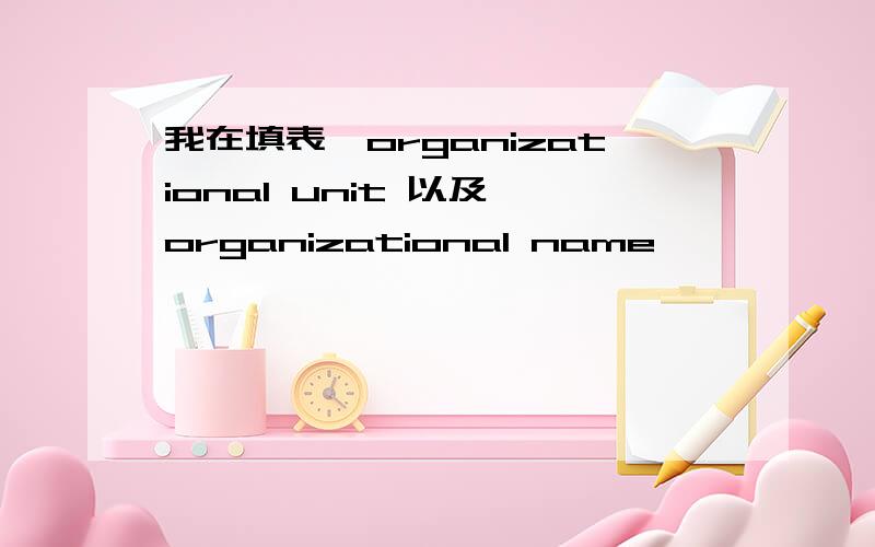 我在填表,organizational unit 以及 organizational name