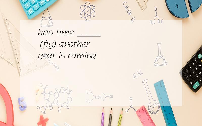 hao time _____(fly) another year is coming