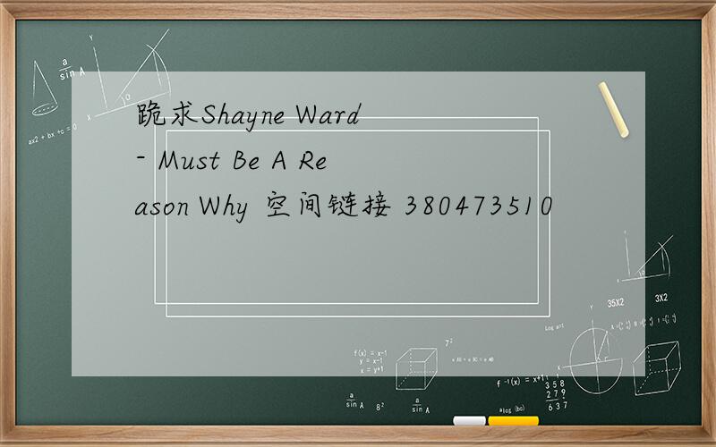 跪求Shayne Ward - Must Be A Reason Why 空间链接 380473510