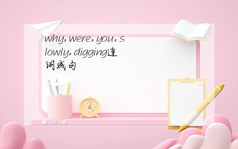 why,were,you,slowly,digging连词成句