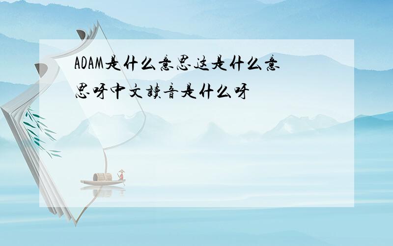 ADAM是什么意思这是什么意思呀中文读音是什么呀