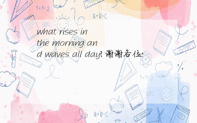 what rises in the morning and waves all day?谢谢各位!