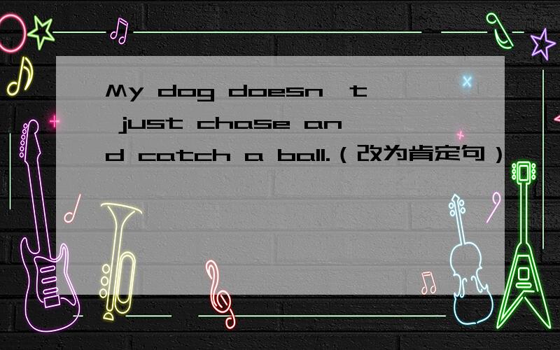 My dog doesn't just chase and catch a ball.（改为肯定句）