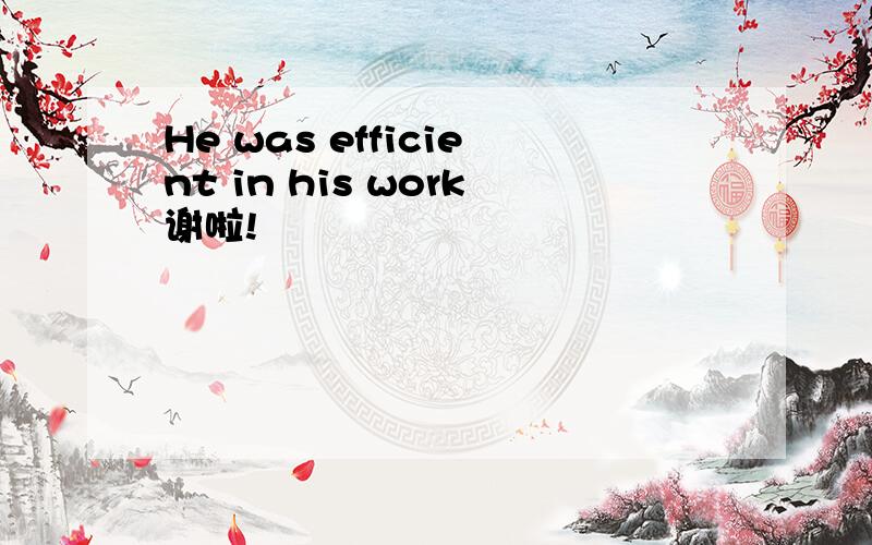 He was efficient in his work谢啦!