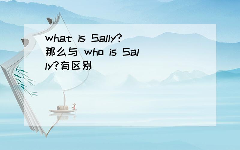 what is Sally?那么与 who is Sally?有区别