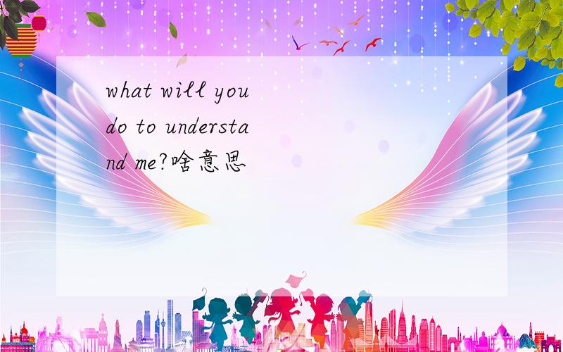 what will you do to understand me?啥意思