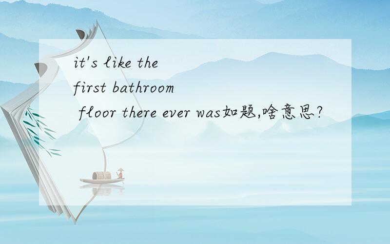 it's like the first bathroom floor there ever was如题,啥意思?