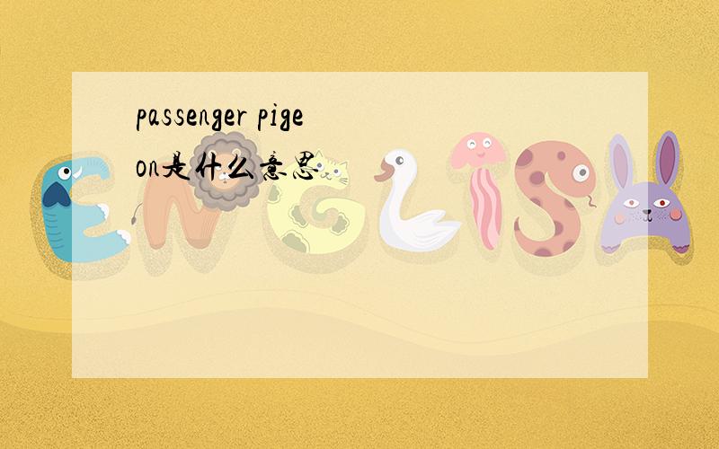 passenger pigeon是什么意思