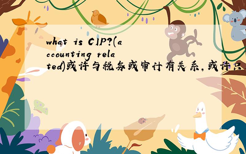what is CIP?(accounting related)或许与税务或审计有关系,或许只是财务报表的一个项目.