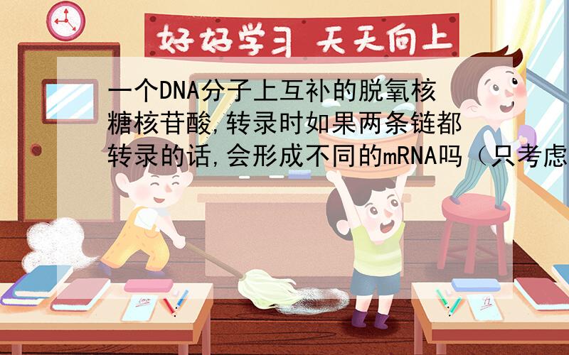 一个DNA分子上互补的脱氧核糖核苷酸,转录时如果两条链都转录的话,会形成不同的mRNA吗（只考虑一小截）有不同的mRna,就会有不同的蛋白质,这样一DNA就能控制两个性状了（如圆和皱）,这样思
