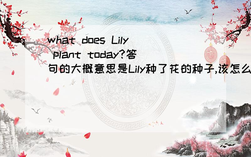 what does Lily plant today?答句的大概意思是Lily种了花的种子,该怎么答?