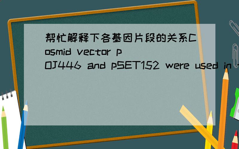 帮忙解释下各基因片段的关系Cosmid vector pOJ446 and pSET152 were used in the construction of the genomic library and recombinant plasmid pSLT,respectively .The recombinants pGEM-LT and pSLT were constructed by subcloning the pGEM-3zf and
