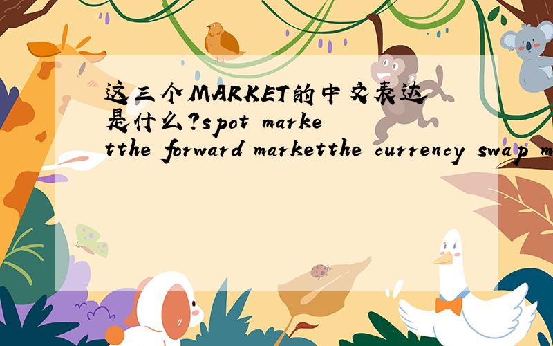 这三个MARKET的中文表达是什么?spot marketthe forward marketthe currency swap market