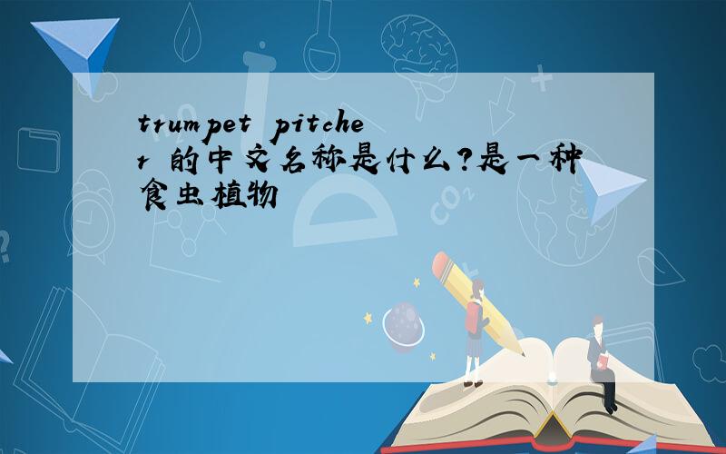 trumpet pitcher 的中文名称是什么?是一种食虫植物