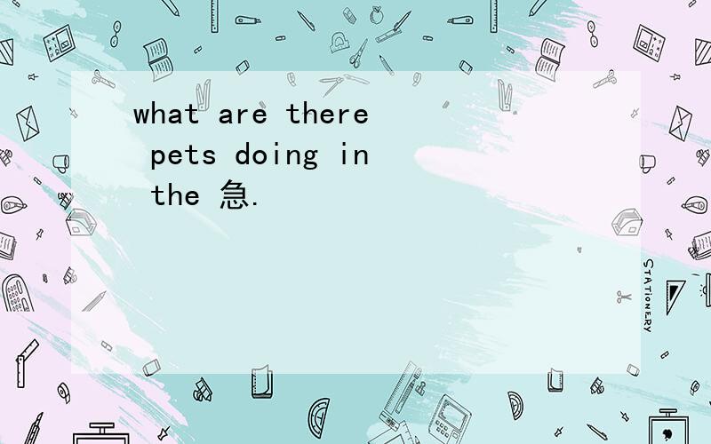 what are there pets doing in the 急.