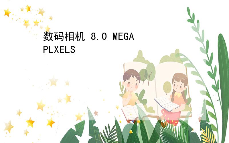 数码相机 8.0 MEGA PLXELS