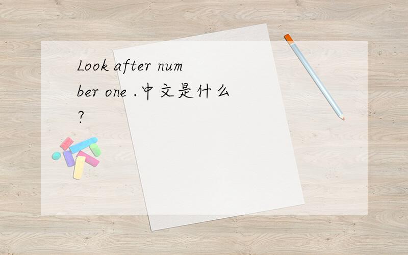 Look after number one .中文是什么?