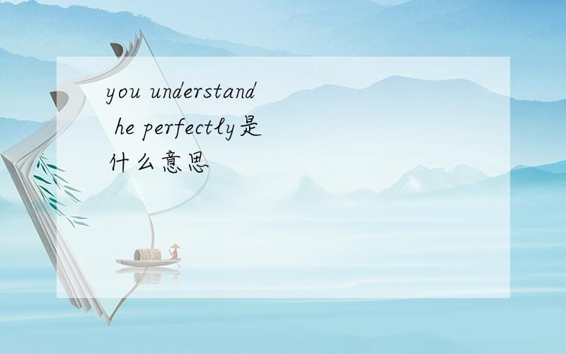 you understand he perfectly是什么意思