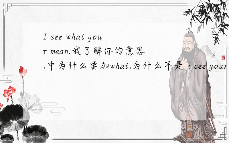 I see what your mean.我了解你的意思.中为什么要加what,为什么不是 i see your mean 请说的通熟一点,