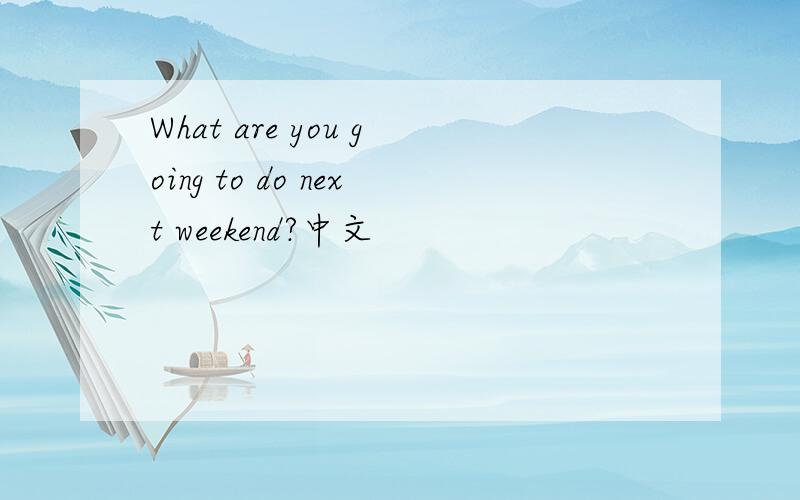 What are you going to do next weekend?中文