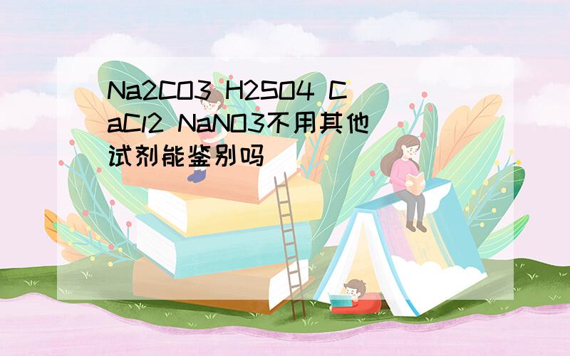 Na2CO3 H2SO4 CaCl2 NaNO3不用其他试剂能鉴别吗