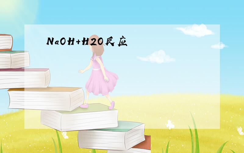 NaOH+H2O反应