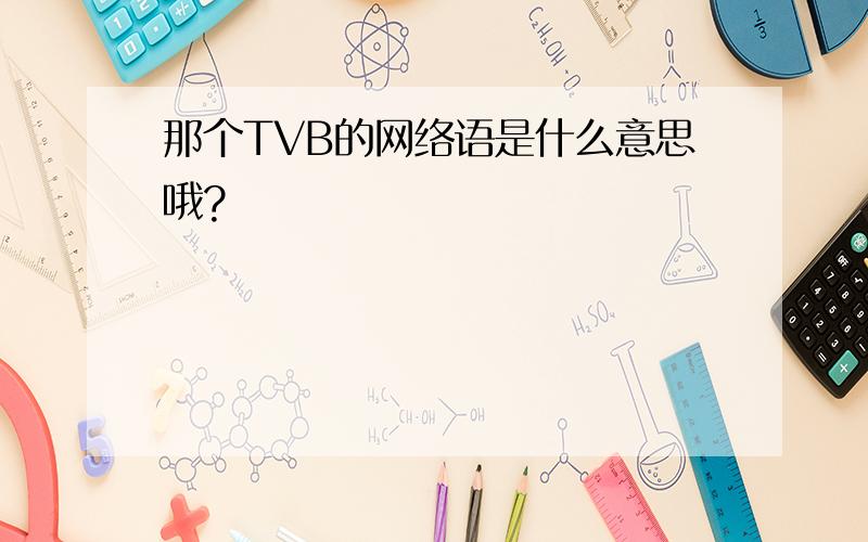 那个TVB的网络语是什么意思哦?