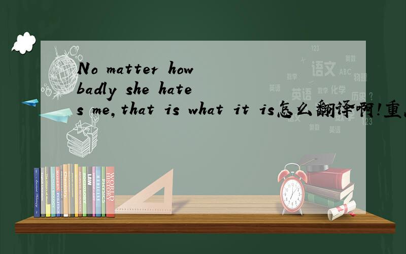 No matter how badly she hates me,that is what it is怎么翻译啊!重点解释一下
