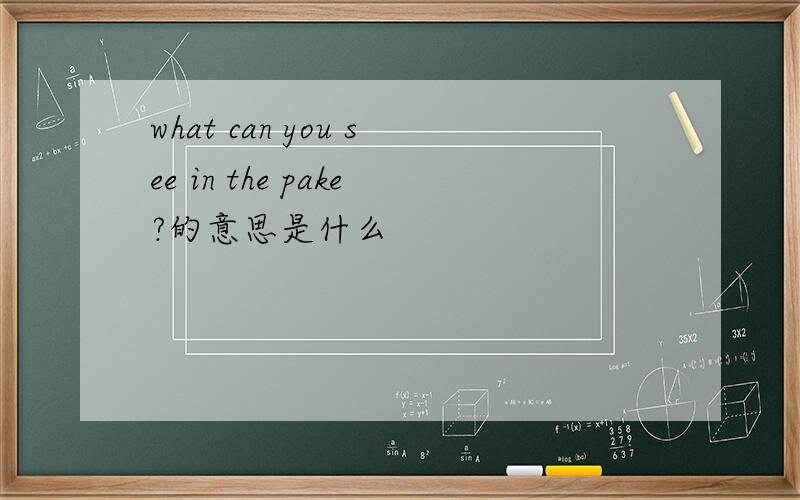 what can you see in the pake?的意思是什么
