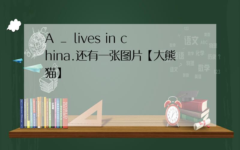 A ＿ lives in china.还有一张图片【大熊猫】