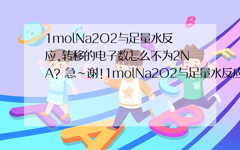 1molNa2O2与足量水反应,转移的电子数怎么不为2NA? 急~谢!1molNa2O2与足量水反应,转移的电子数怎么不为2NA?详细些哦~有必要时请写出方程式~谢!