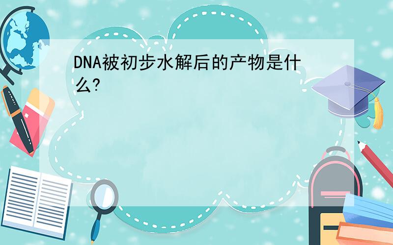 DNA被初步水解后的产物是什么?