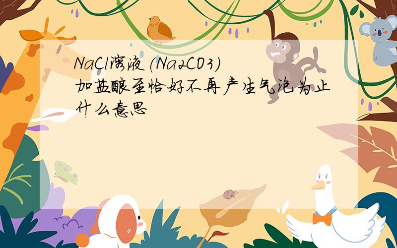 NaCl溶液(Na2CO3)加盐酸至恰好不再产生气泡为止什么意思