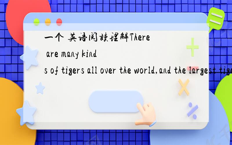 一个 英语阅读理解There are many kinds of tigers all over the world,and the largest tiger is Northeast Tiger.Most Northeast Tigers live in the northeast of China,like Heilongjiang Province and Jilin Province.Because there are many forests and